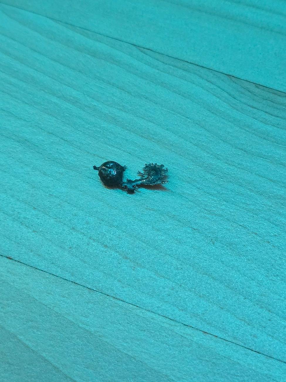 Acura Integra Back on Track 20250523_094809