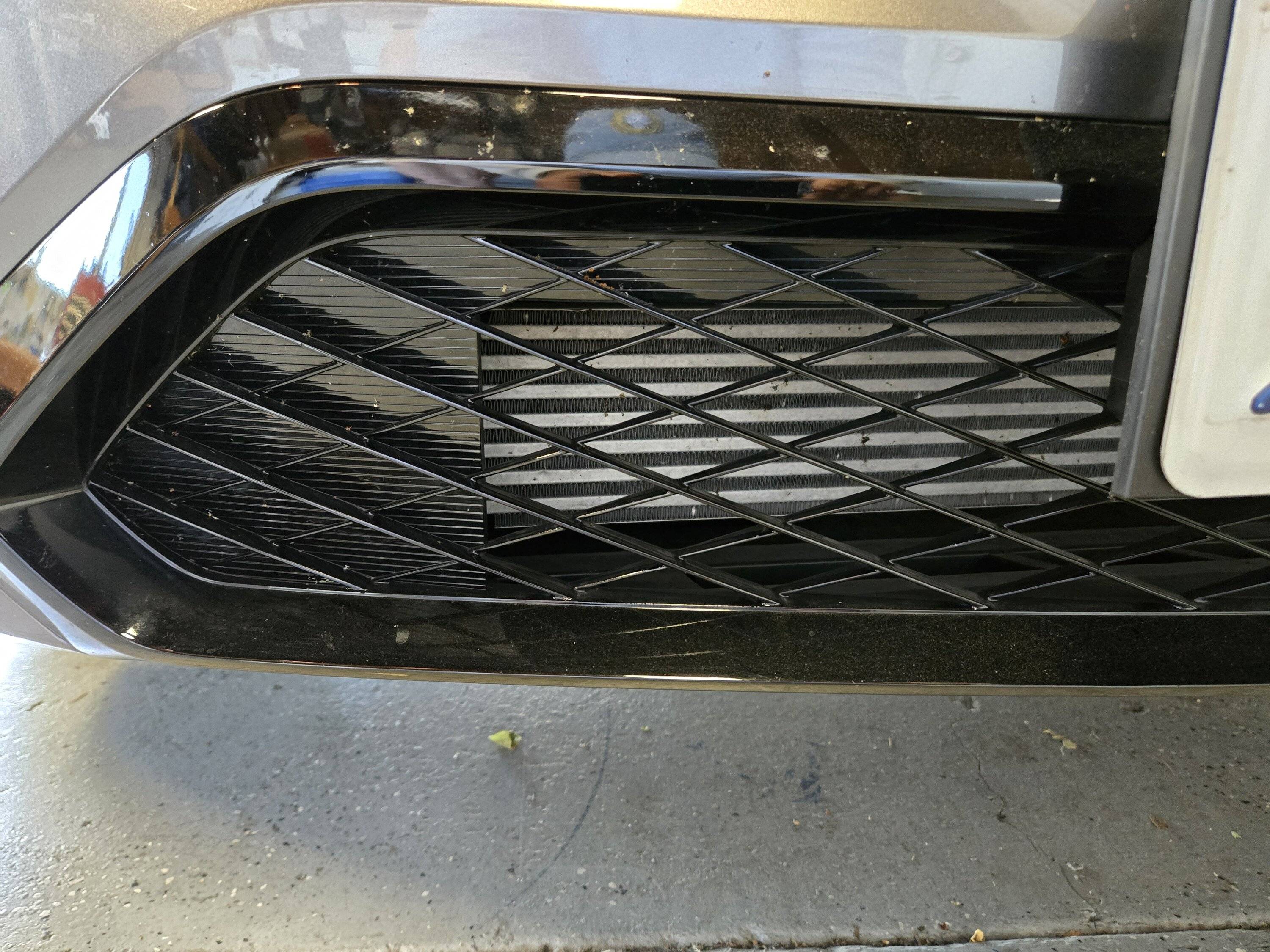 Acura Integra A-Spec Front Plate Mount 20250529_094212