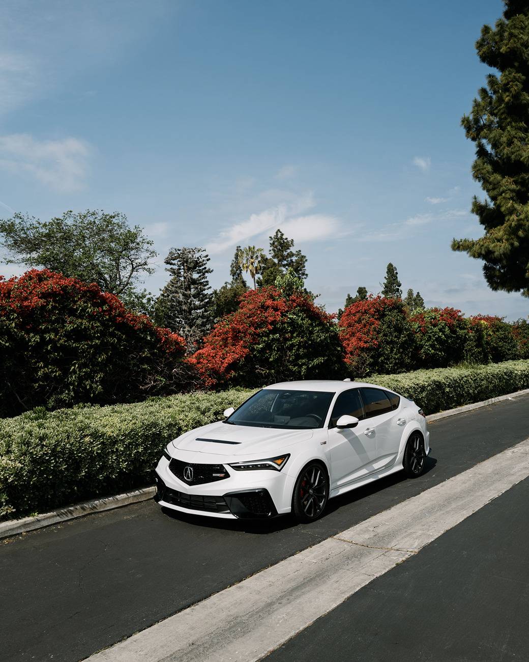 Acura Integra FS: H&R Sport Springs (SoCal) C1028775