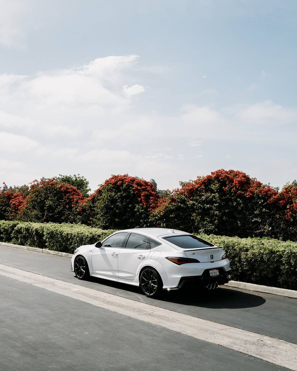 Acura Integra ceedtn's PWP Build + Photodump C1028773