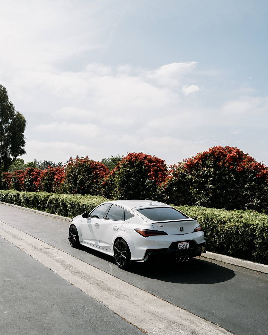 Acura Integra What did you do to your Integra Type S today? 🙋🏻‍♂️ C1028764