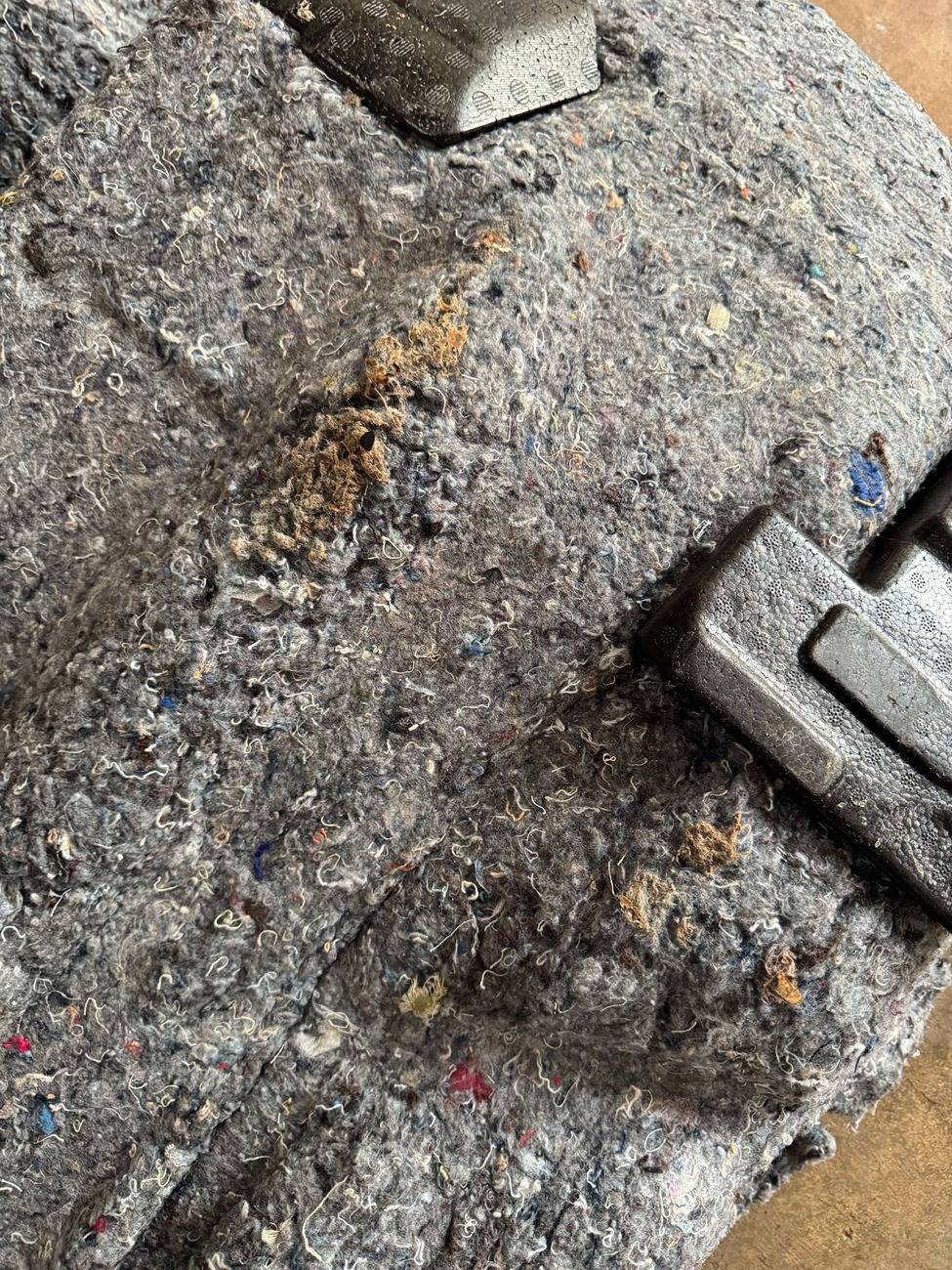 Acura Integra What did you do to your Integra Type S today? 🙋🏻‍♂️ IMG_1522