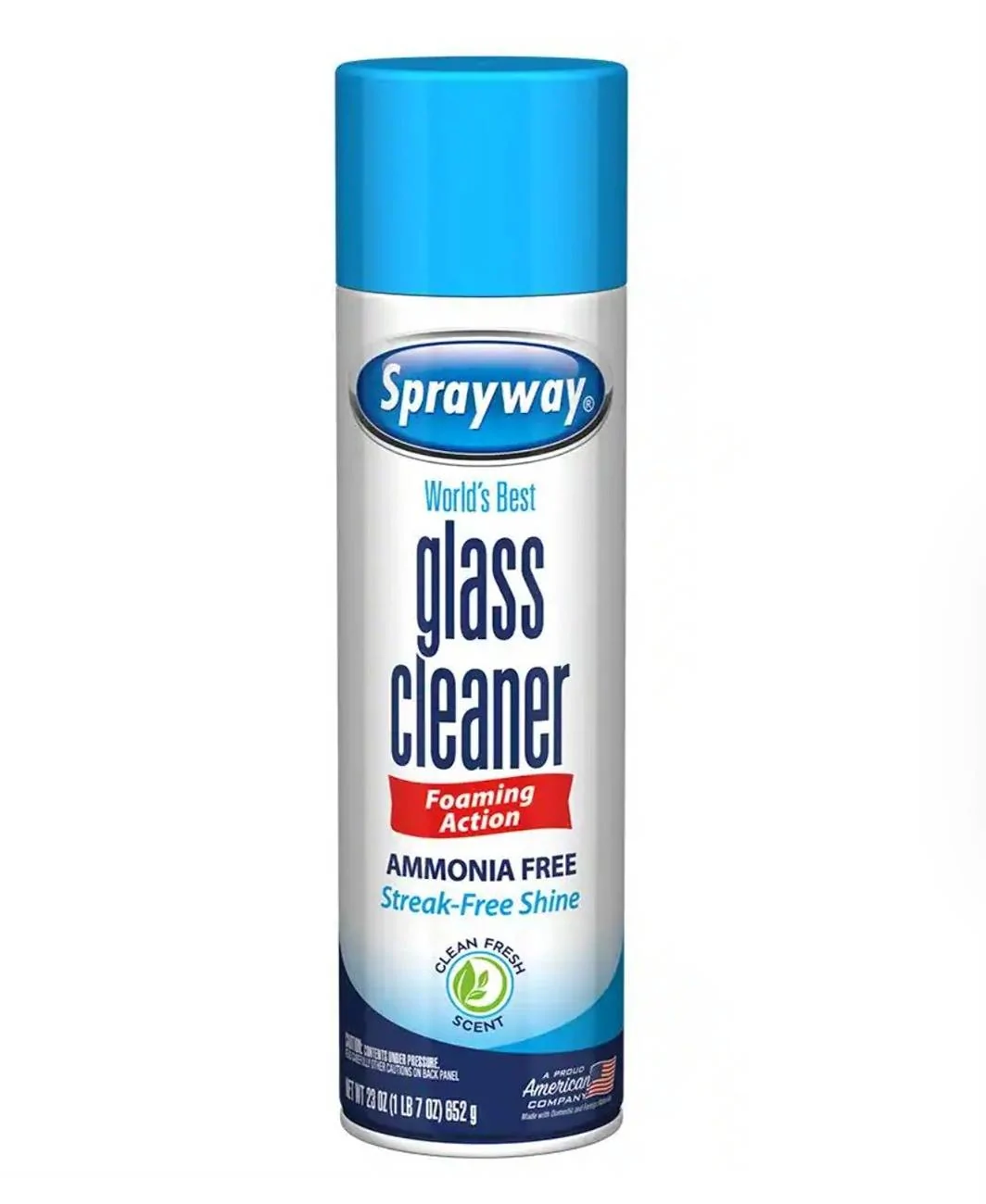 Acura Integra Cleaning windshield interior 1000008488