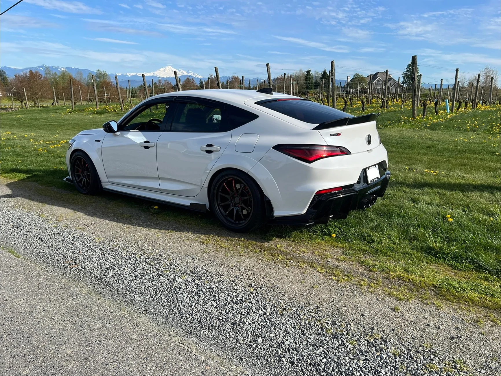 Acura Integra Wheels, Tires, & Suspension Setup Pics Thread IMG_9036