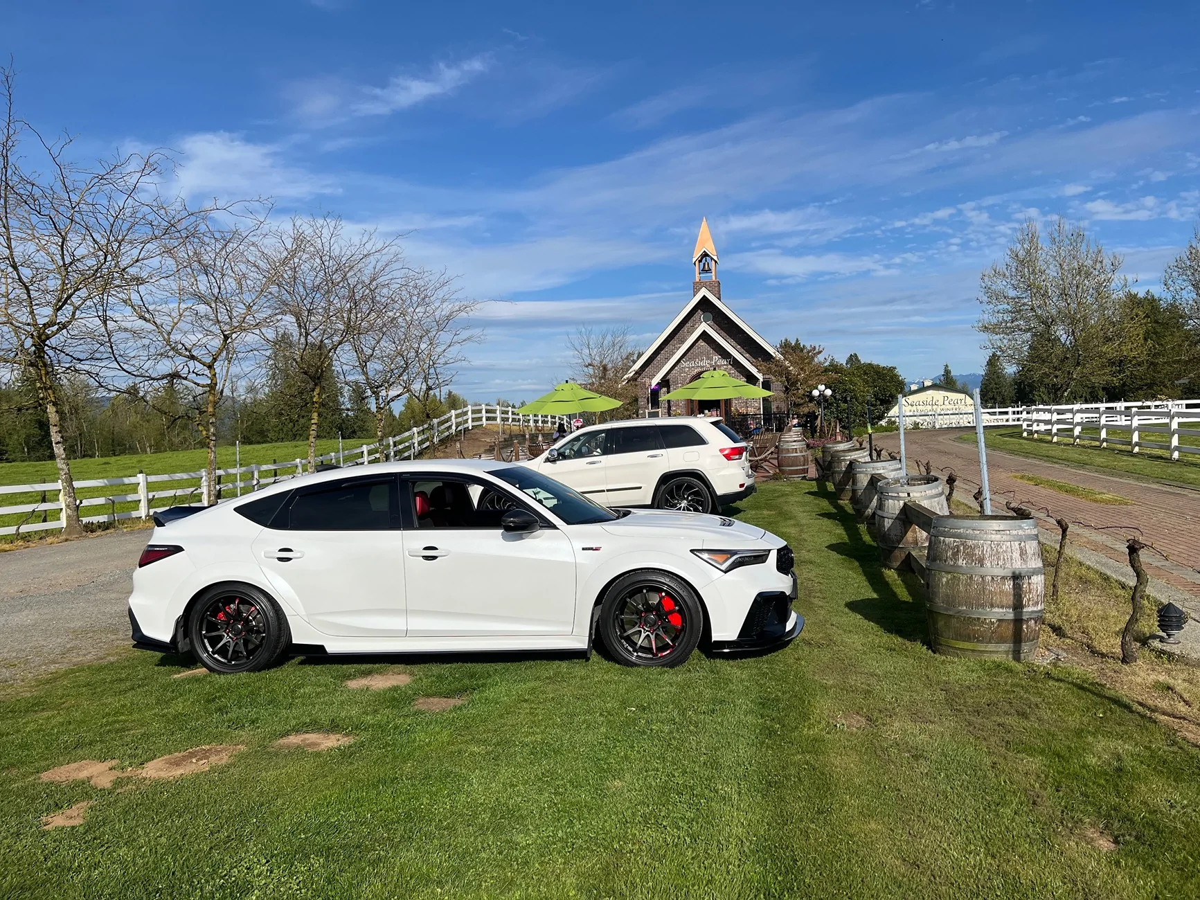 Acura Integra Wheels, Tires, & Suspension Setup Pics Thread IMG_9039