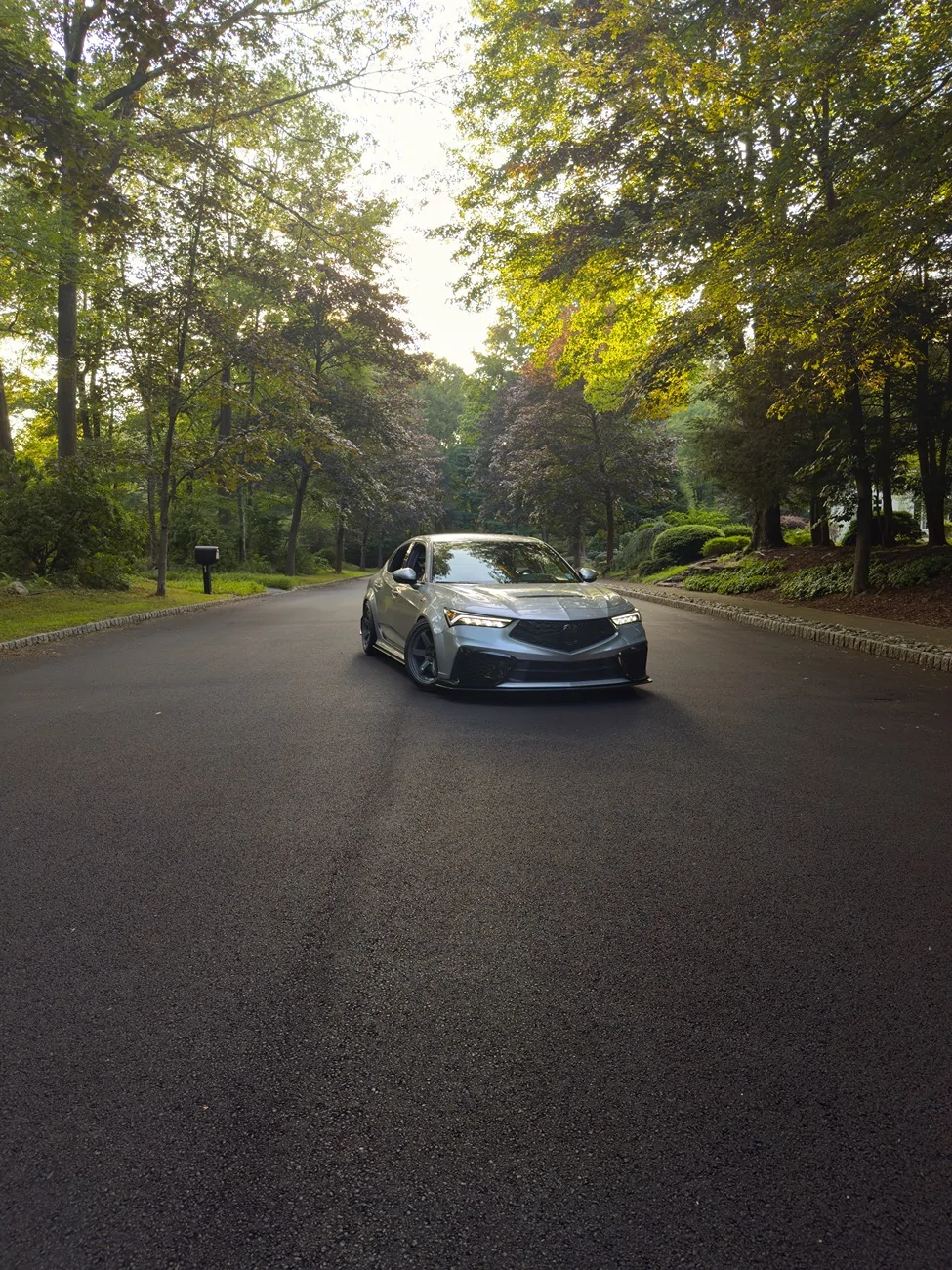 Acura Integra Lunar Silver Metallic IMG_2655