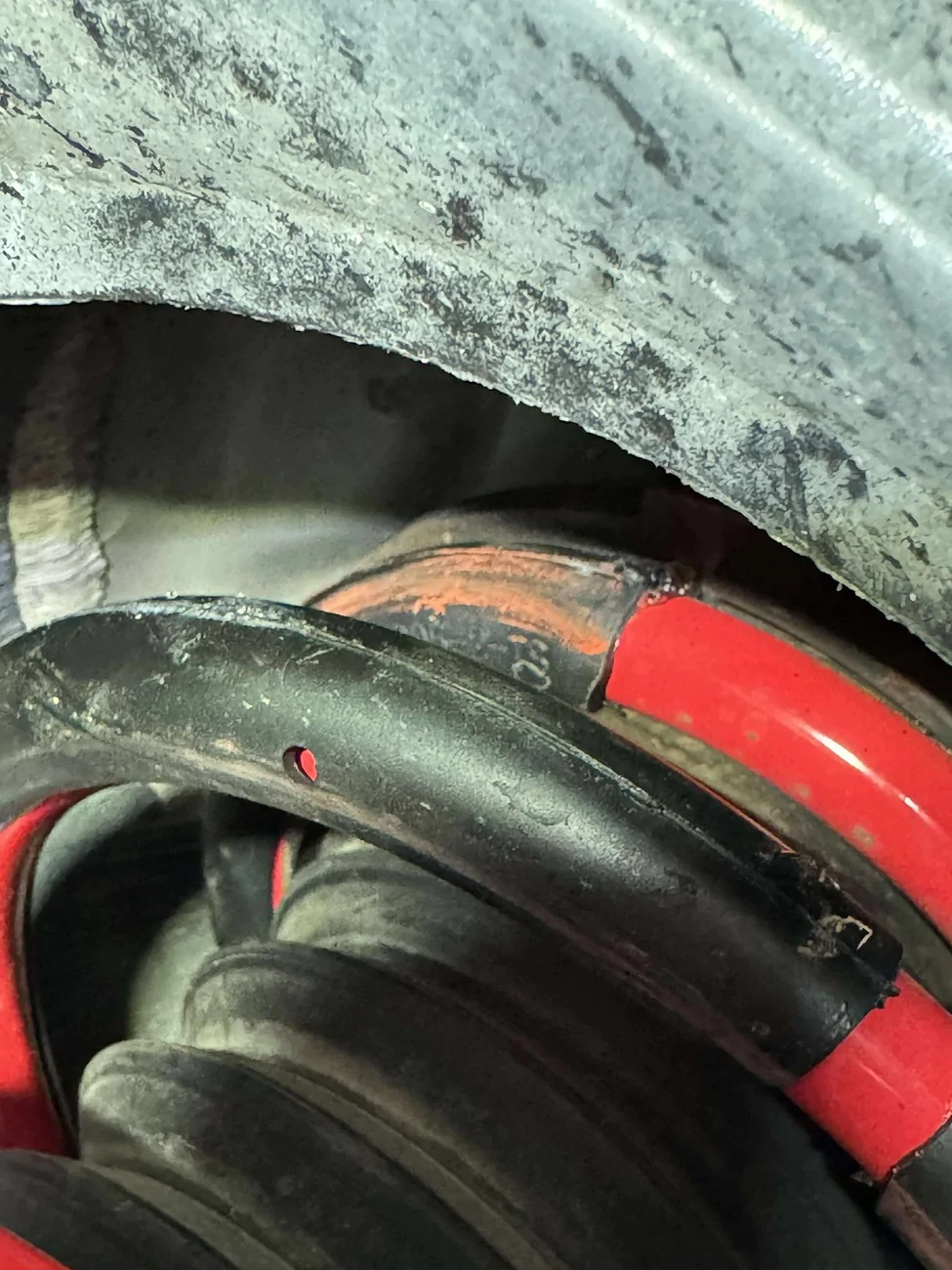 Acura Integra 2023 Integra Eibach Lowering Springs + rear camber kit installed 123_1