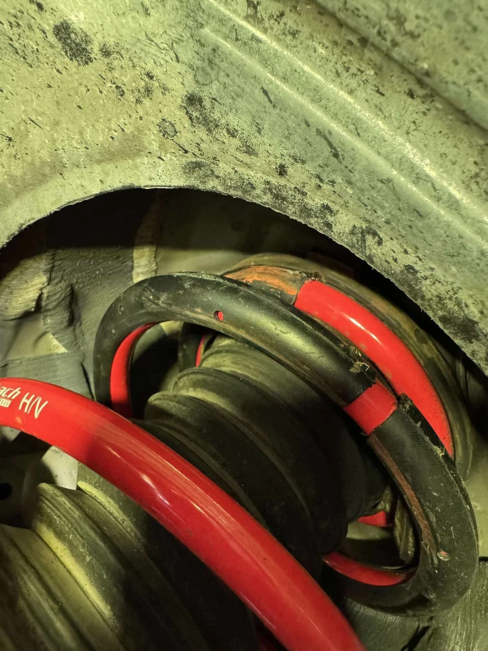 Acura Integra 2023 Integra Eibach Lowering Springs + rear camber kit installed 123_1 (1)