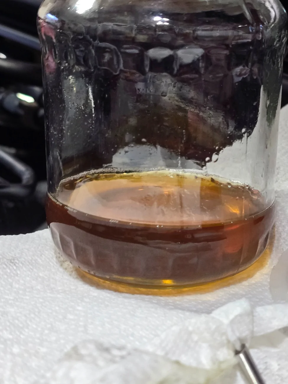 Acura Integra What did you do to your Integra Type S today? 🙋🏻‍♂️ 20240922_150159