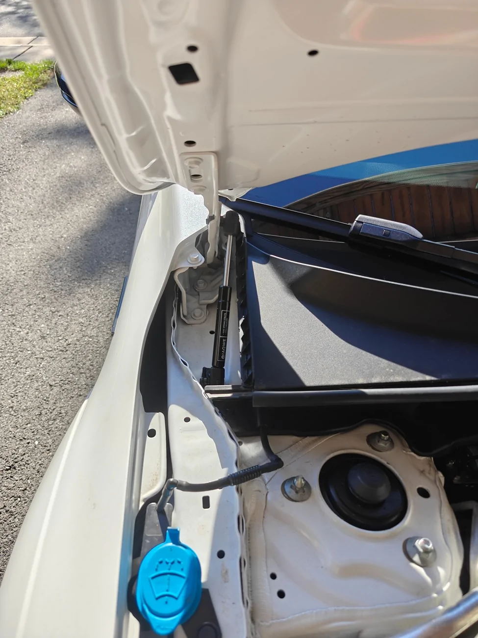 Acura Integra What did you do to your Integra Type S today? 🙋🏻‍♂️ IMG20251004092755