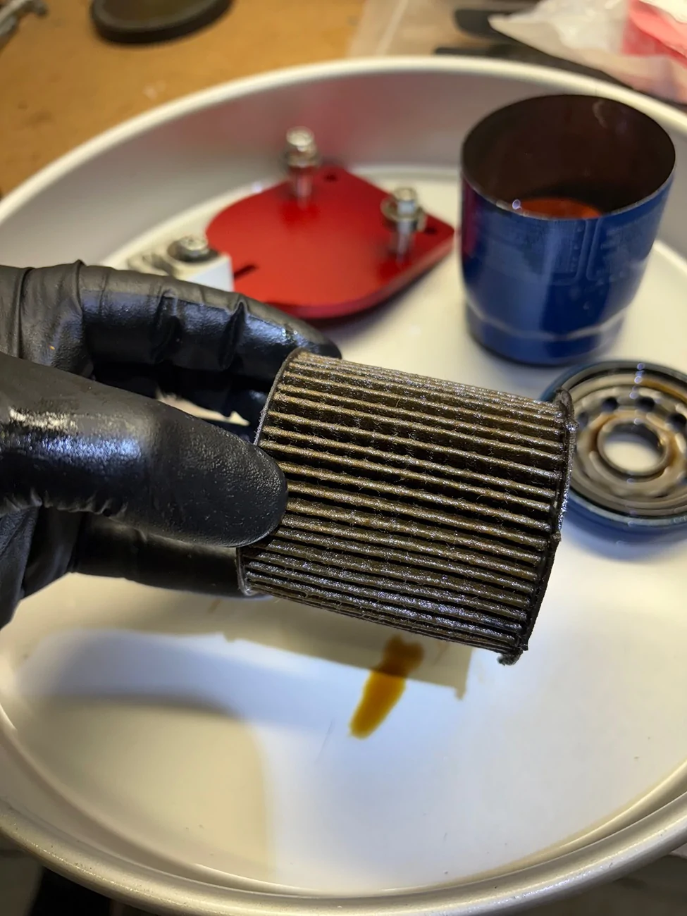 Acura Integra Underdog’s PWP Type S IMG_8618