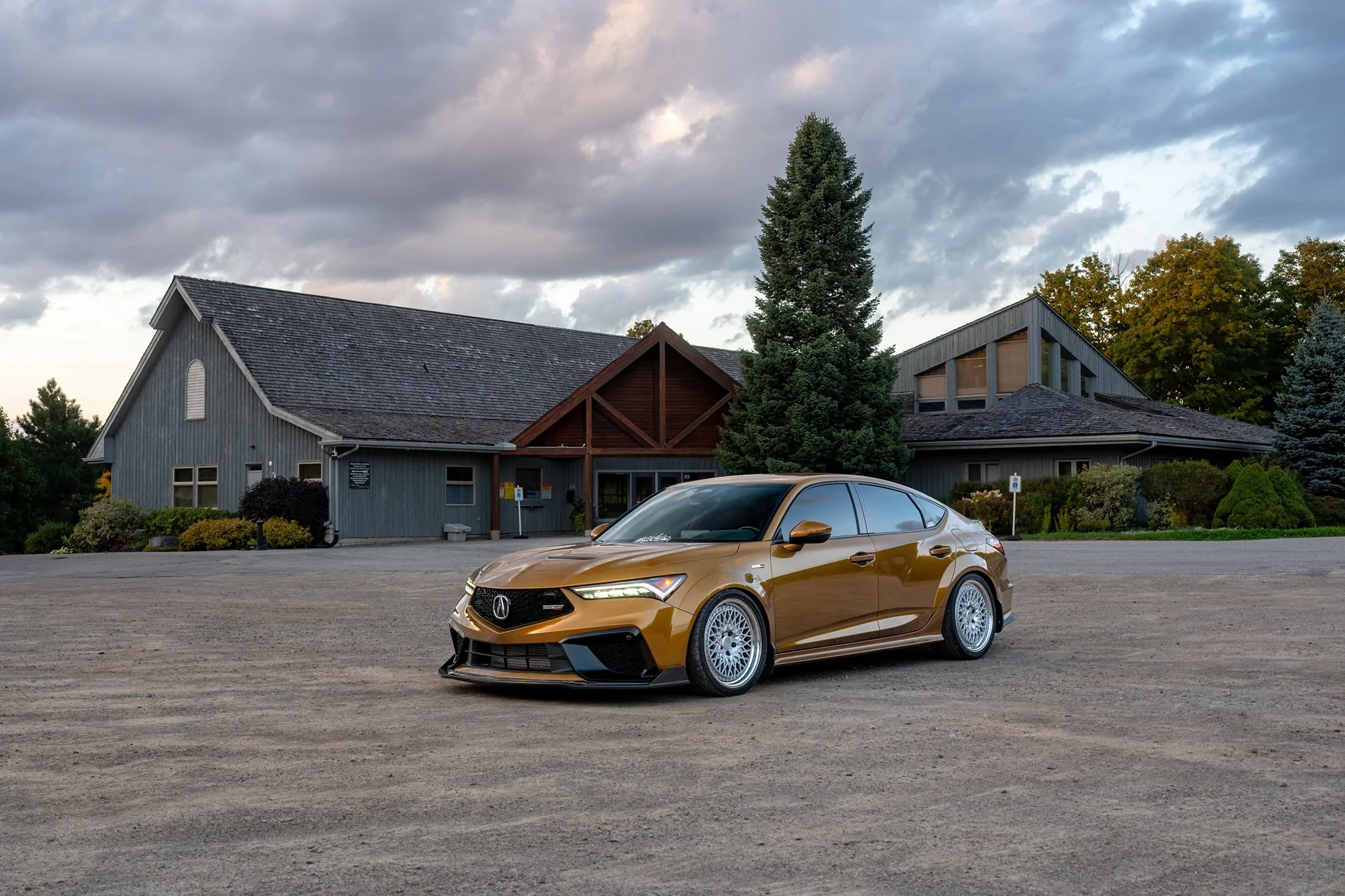 Acura Integra 1to_TypeS - Tiger Eye Pearl (TEP) build 1000246906