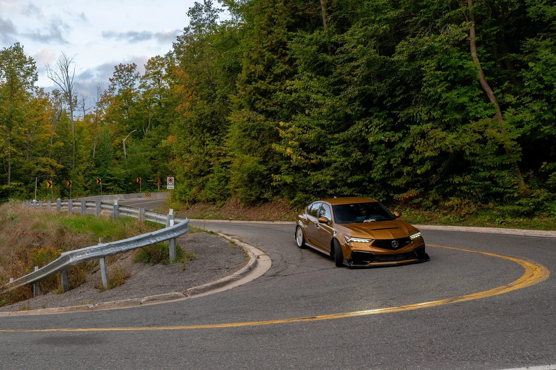 Acura Integra 1to_TypeS - Tiger Eye Pearl (TEP) build 1000246910