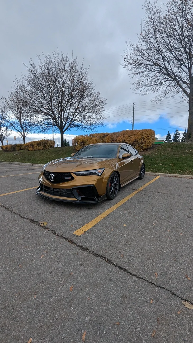 Acura Integra 1to_TypeS - Tiger Eye Pearl (TEP) build 1000269621