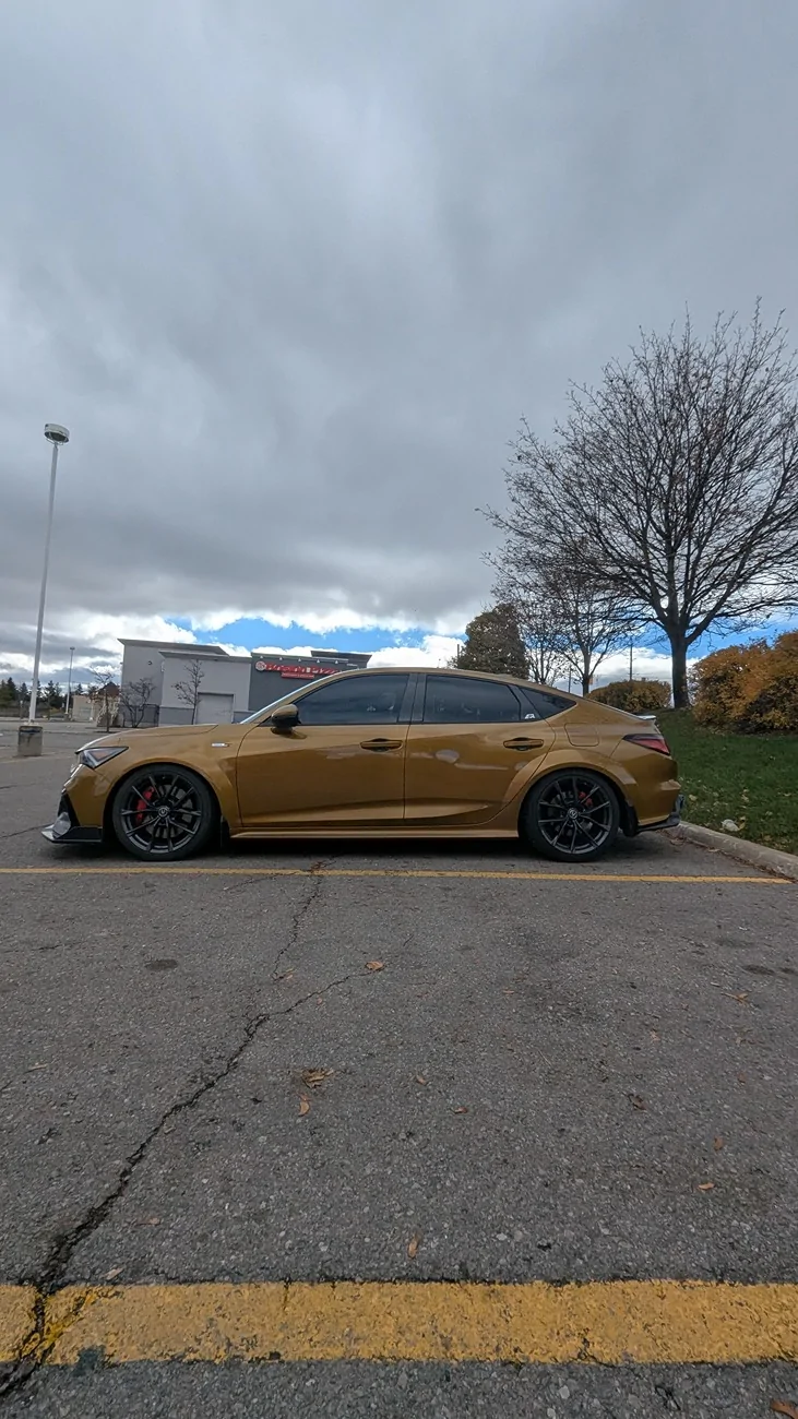 Acura Integra 1to_TypeS - Tiger Eye Pearl (TEP) build 1000269625