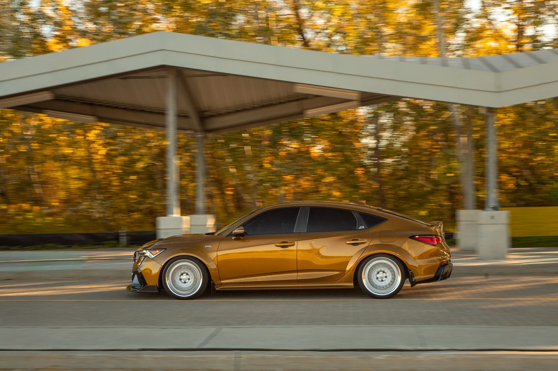 Acura Integra Official TIGER EYE PEARL Integra Club & Photos 1000264428