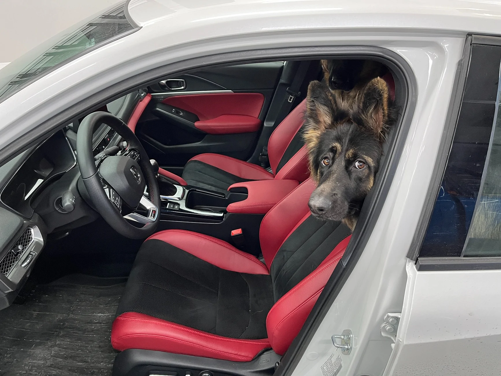 Acura Integra Acuity shifter short review IMG_5437