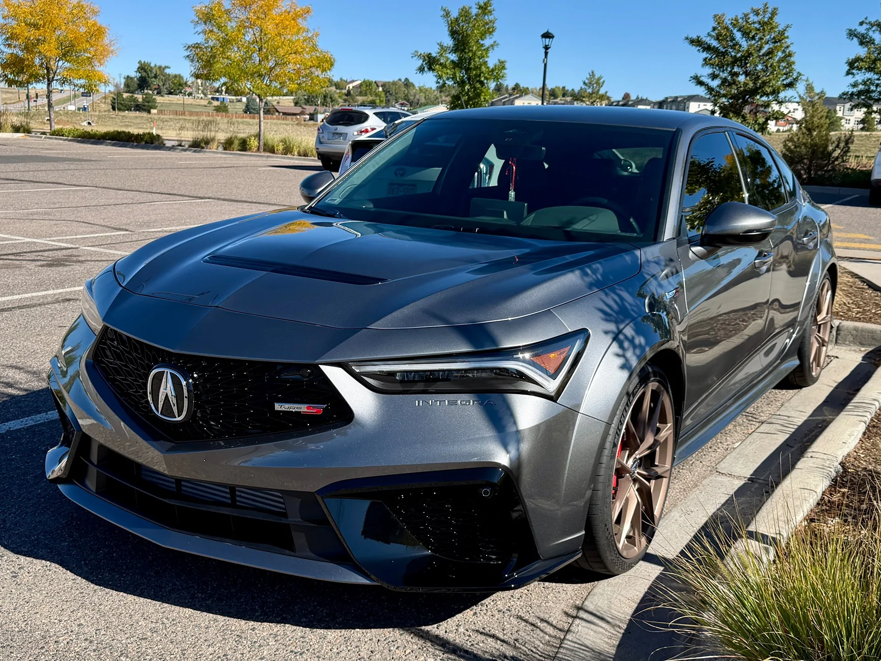 Acura Integra Spoon Springs for DE5 IMG_5693