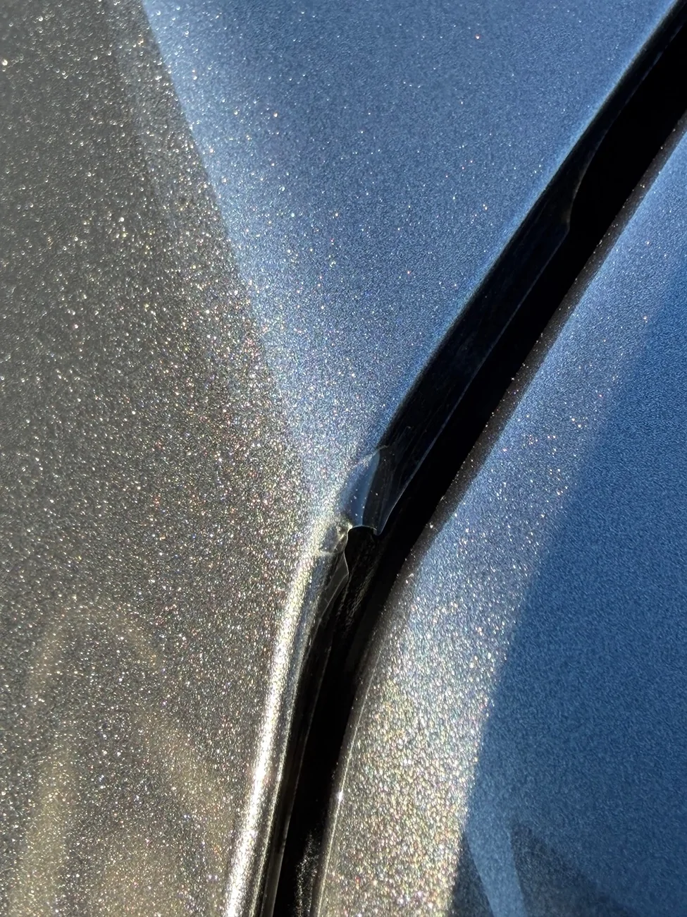 Acura Integra Bad PPF install? IMG_0959