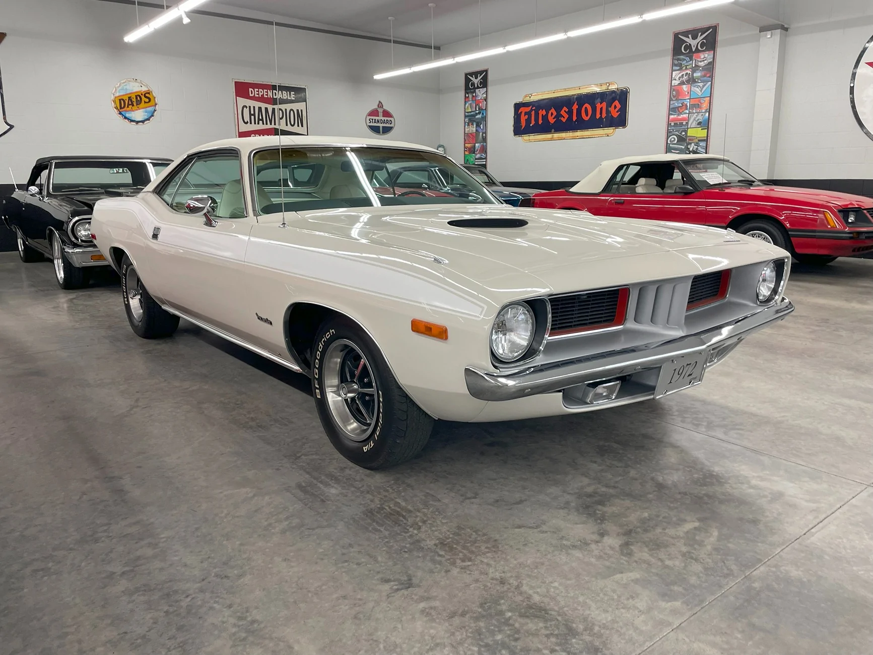 Acura Integra New Integra Type S Owner IMG_2839