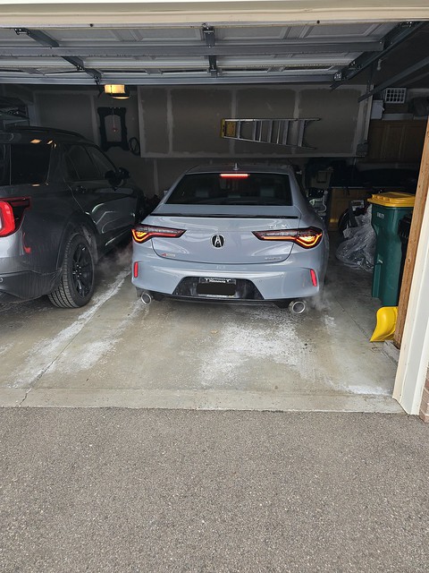 Acura Integra 2025 TLX A-spec - Urban Gray (Sorry I know it's not an Integra) 55110604581_1ec242a5b1_z