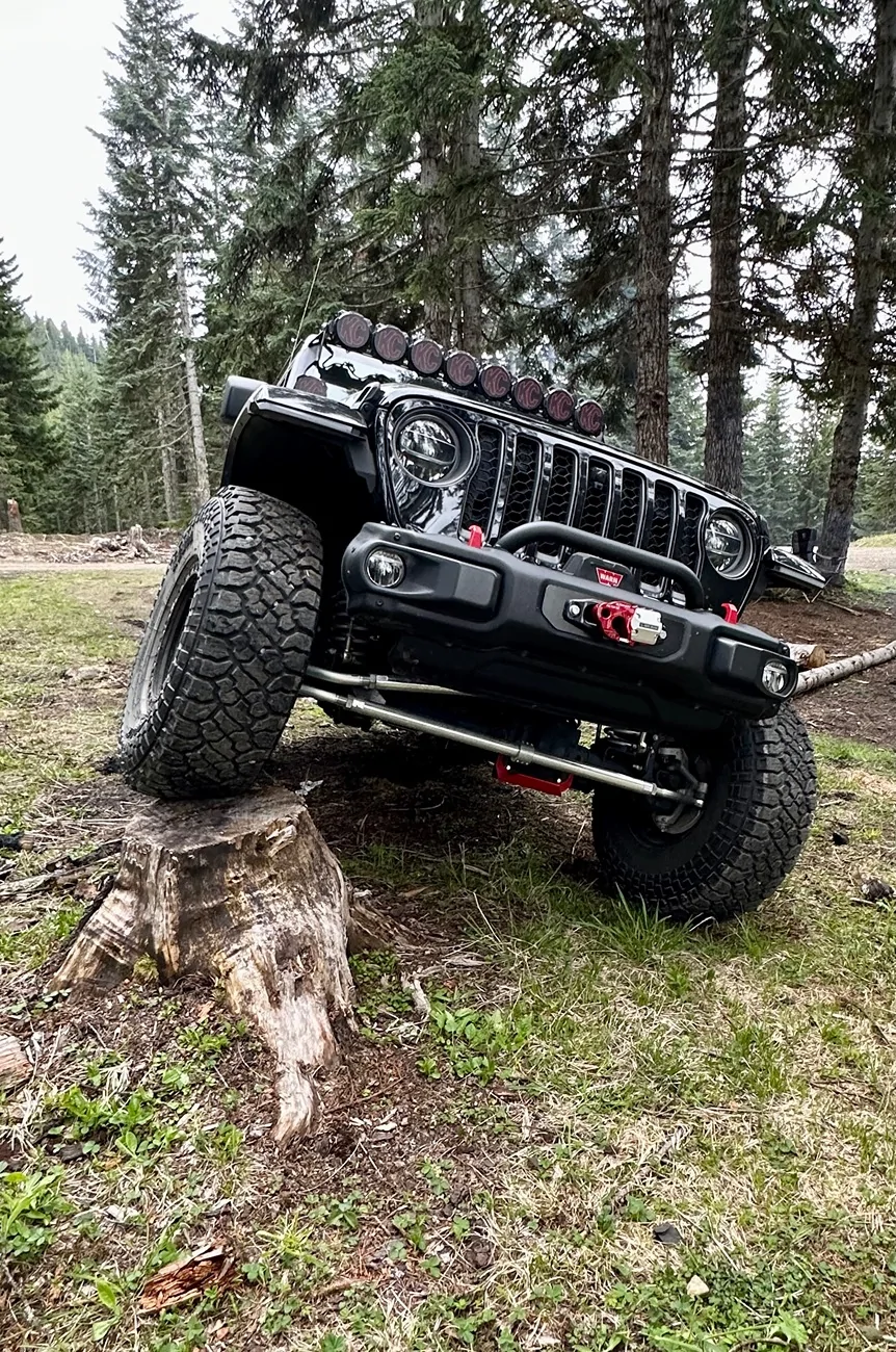 Acura Integra Intro: New ITS Owner IMG_0770