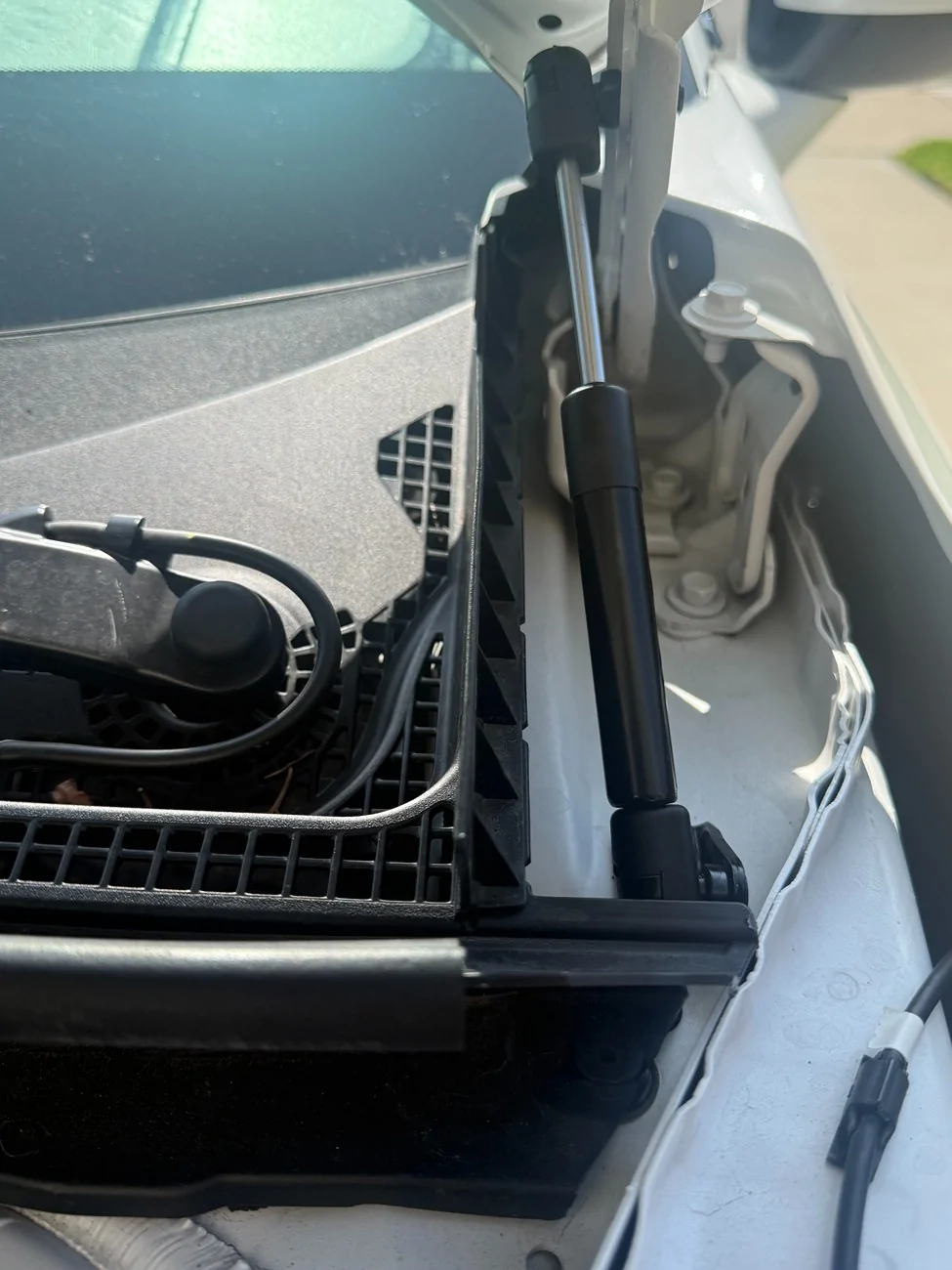 Acura Integra New Integra Type S Owner IMG_0477