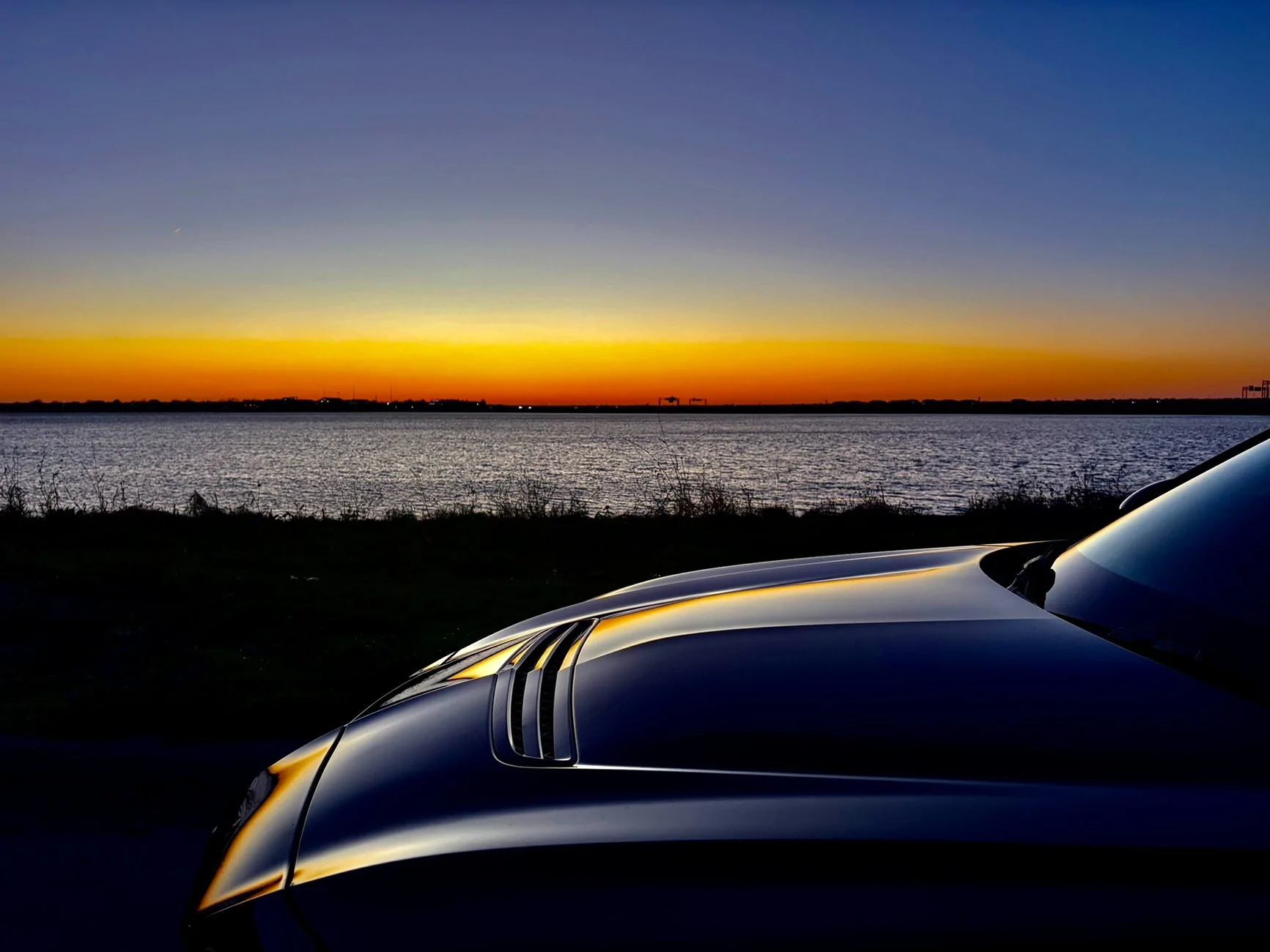 Acura Integra New ITS from TX IMG_1599