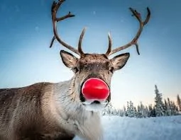 Acura Integra U.S.-Built Integra Type S Will be Exported to Japan 1774901709870-0g