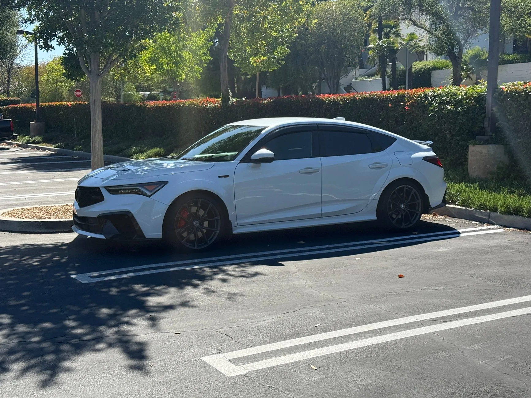 Acura Integra New Integra Type S Owner IMG_0559