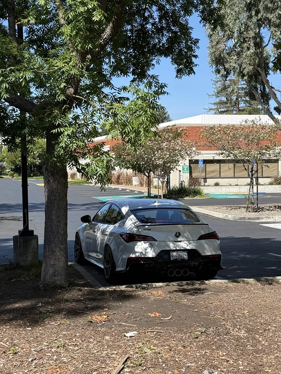 Acura Integra Apex VS-5 18x9.5 +45 Satin Bronze and 255/40R18 IMG_8274