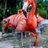 TheDeadlyFlamingo